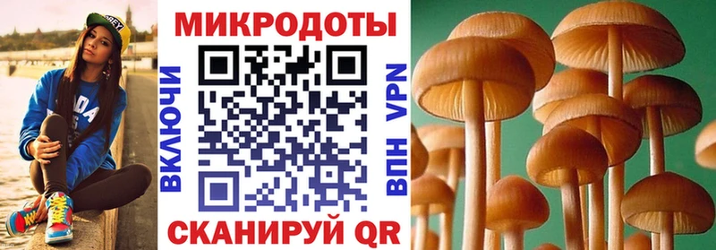 Псилоцибиновые грибы мицелий  omg рабочий сайт  Алексеевка 